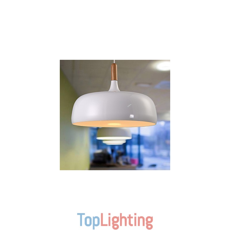 Modern Contemporary Country Metal Pendant Light
