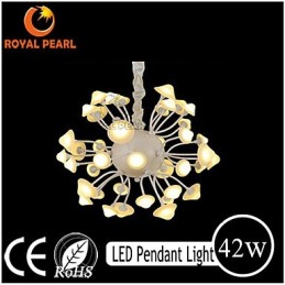 Modern Warm White Brightness Pendant Light Home Decoration