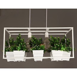 Modern Contemporary Decorative Design Pendant Light(Does Not Include Plants)