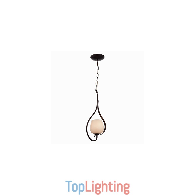 Iron Painting Pendant Light with Glass Shade Classic Lighting Lamp 1 Head