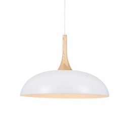 Mini Artistic Pendant Lamp 1 Light Modern Simplicity Black White Finish Aluminum & Wooden Droplight