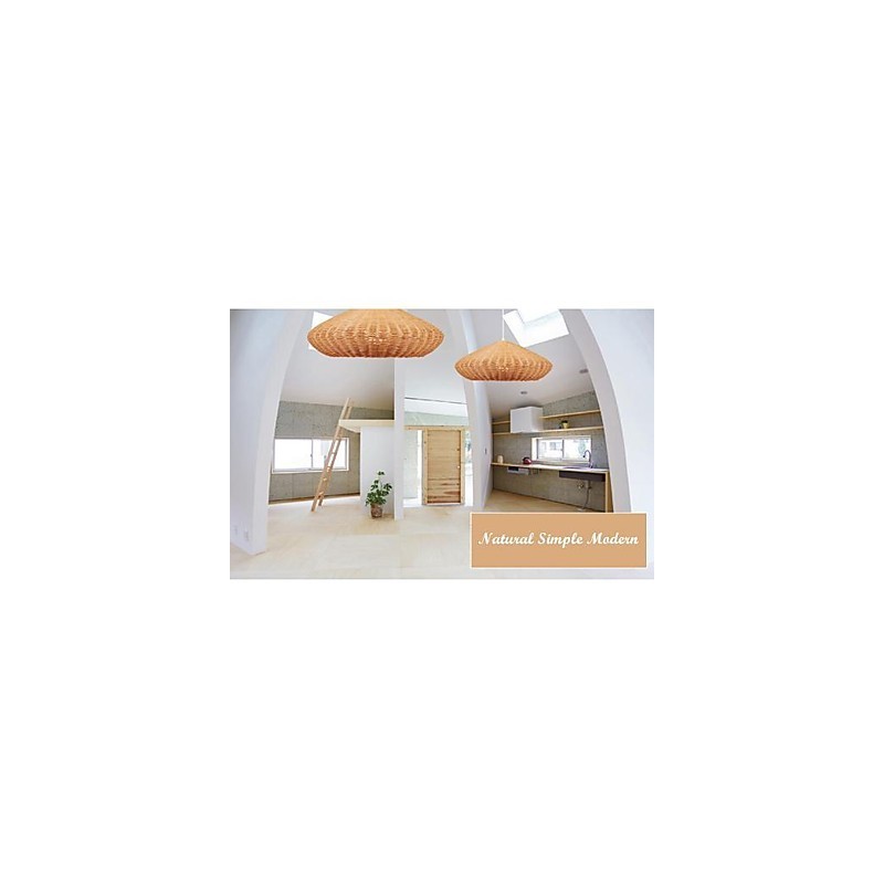 Modern Contemporary Country Metal Pendant Light