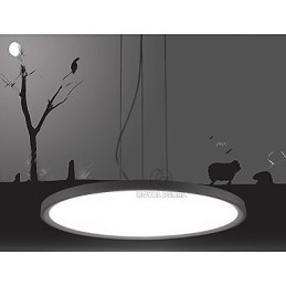 Pendant Light