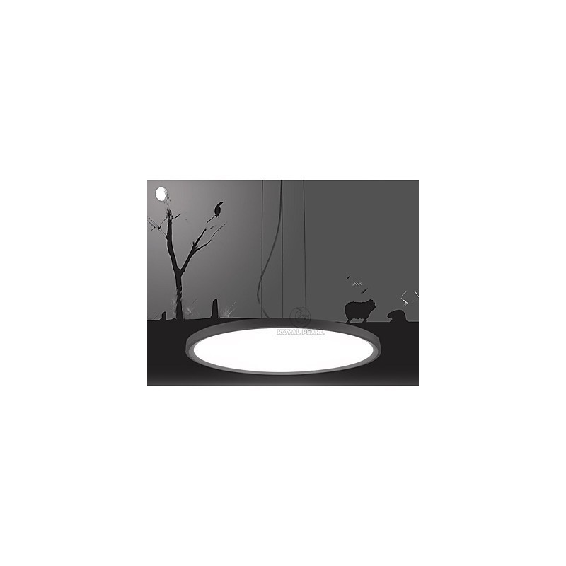 Pendant Light