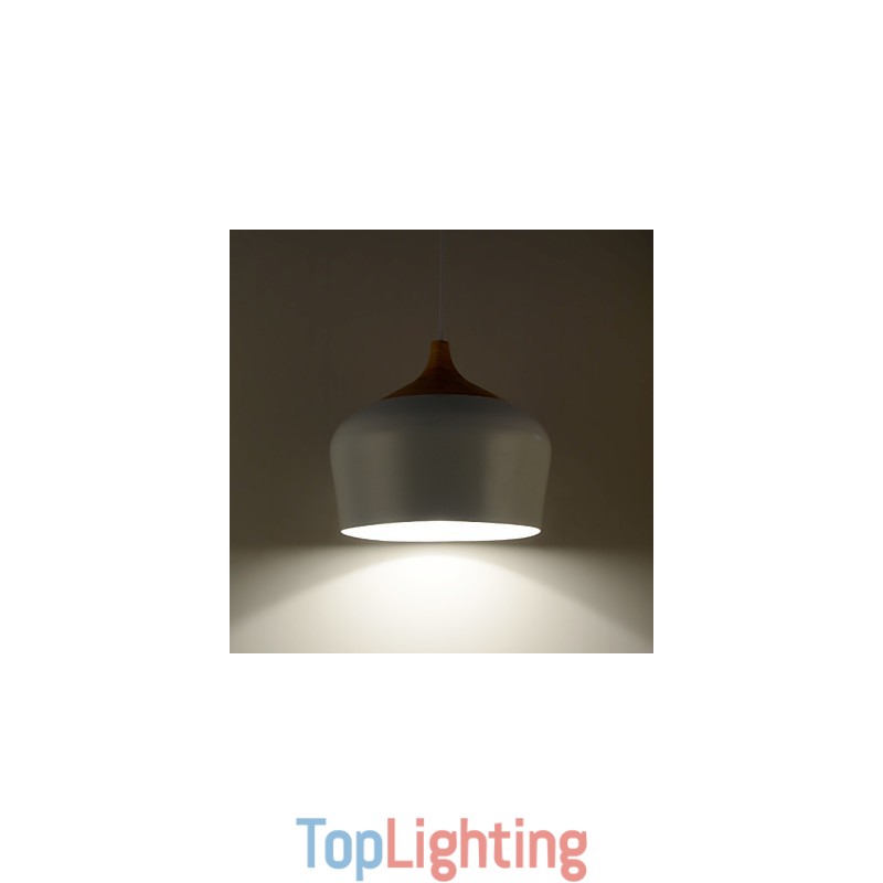 Pendant Lights Modern Contemporary Metal