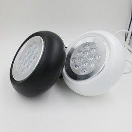 Droplight Onion Shape Light Pendant Light