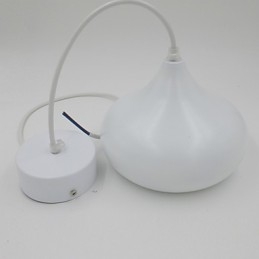 Droplight Onion Shape Light Pendant Light