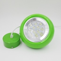 Droplight Onion Shape Light Pendant Light