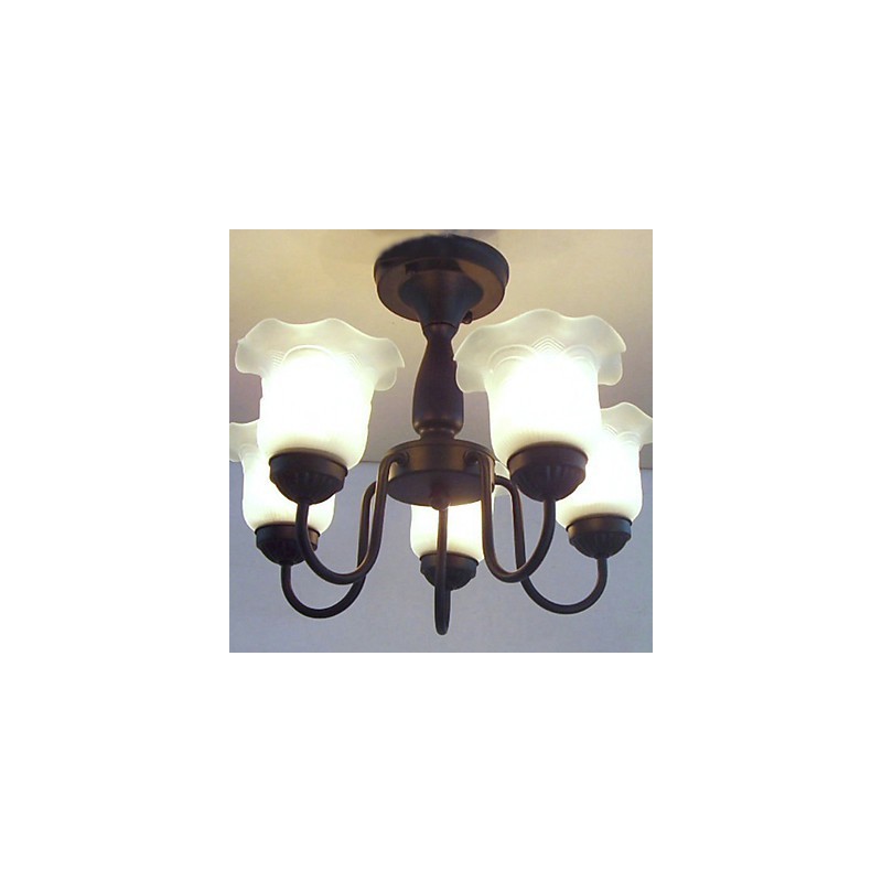 Traditional Classic Painting Metal Chandelier