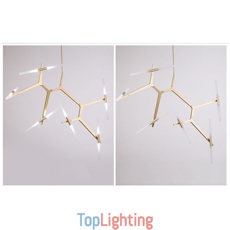 12 Light Modern Contemporary Chandelier Light (Black Golden)