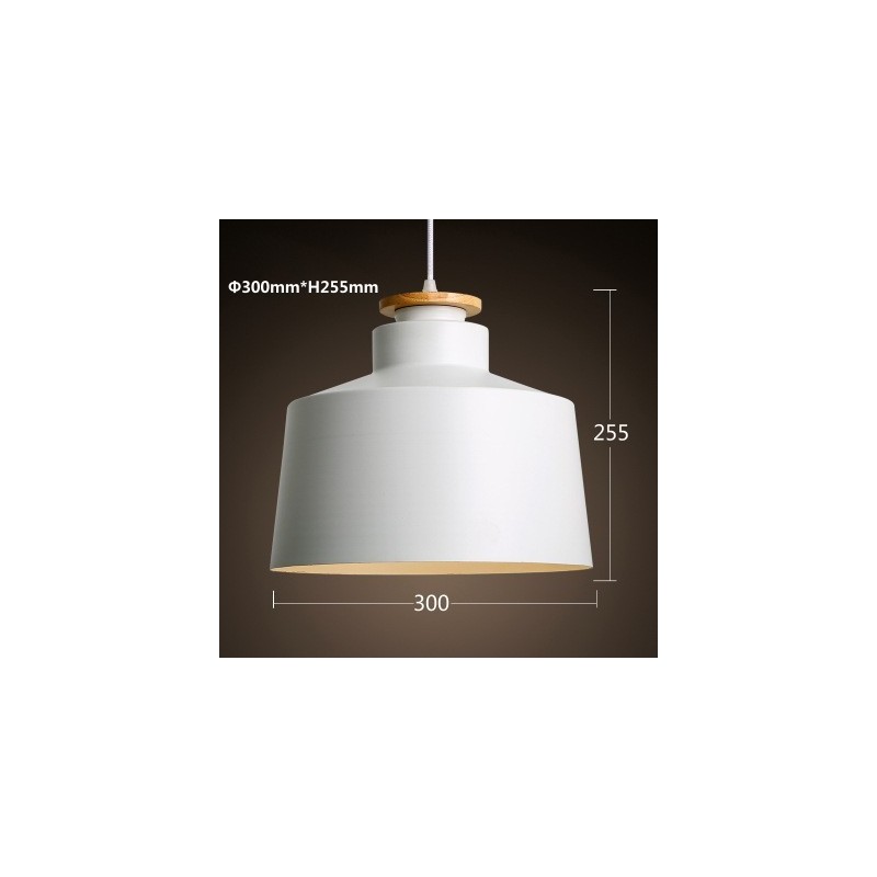 Modern Contemporary Metal Pendant Light