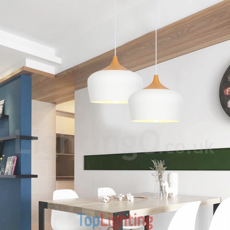 Modern Contemporary 1 Light Pendant Light