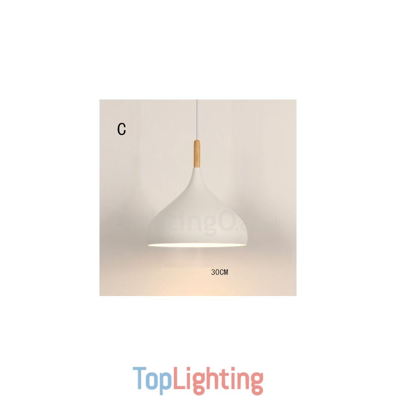 Modern Contemporary 1 Light Pendant Light