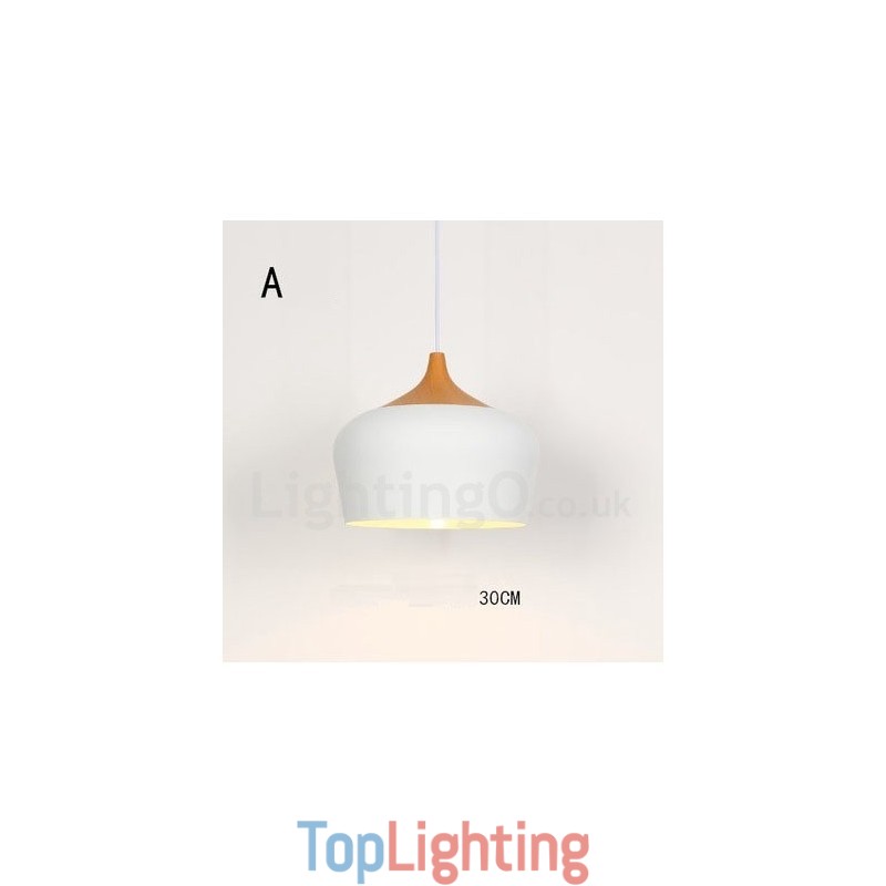 Modern Contemporary 1 Light Pendant Light