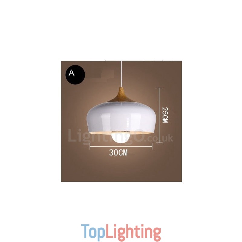 Modern Contemporary 1 Light Pendant Light