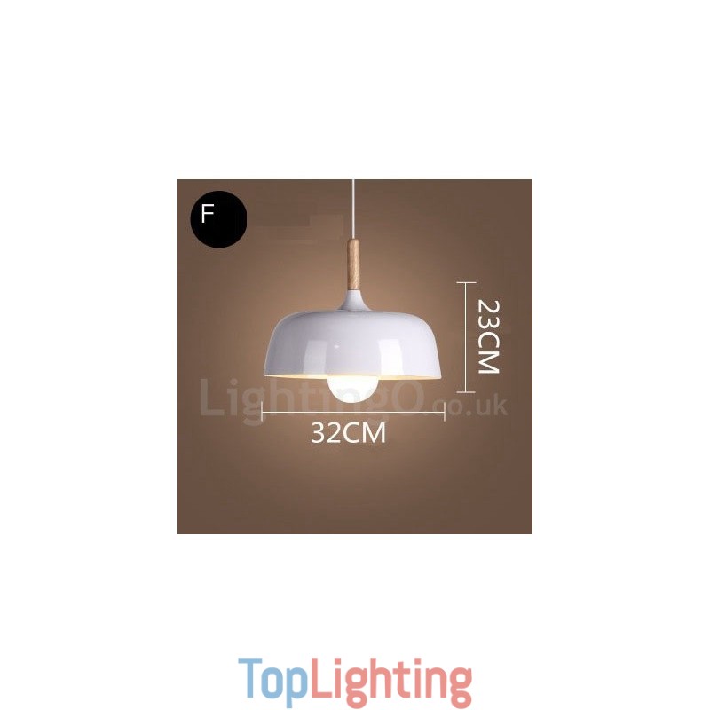 Modern Contemporary 1 Light Pendant Light