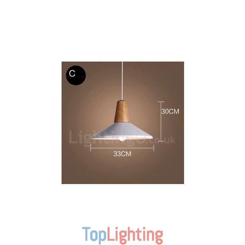 Modern Contemporary 1 Light Pendant Light