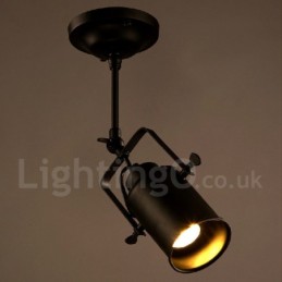 Rustic Lodge 1 Light Spot Lights