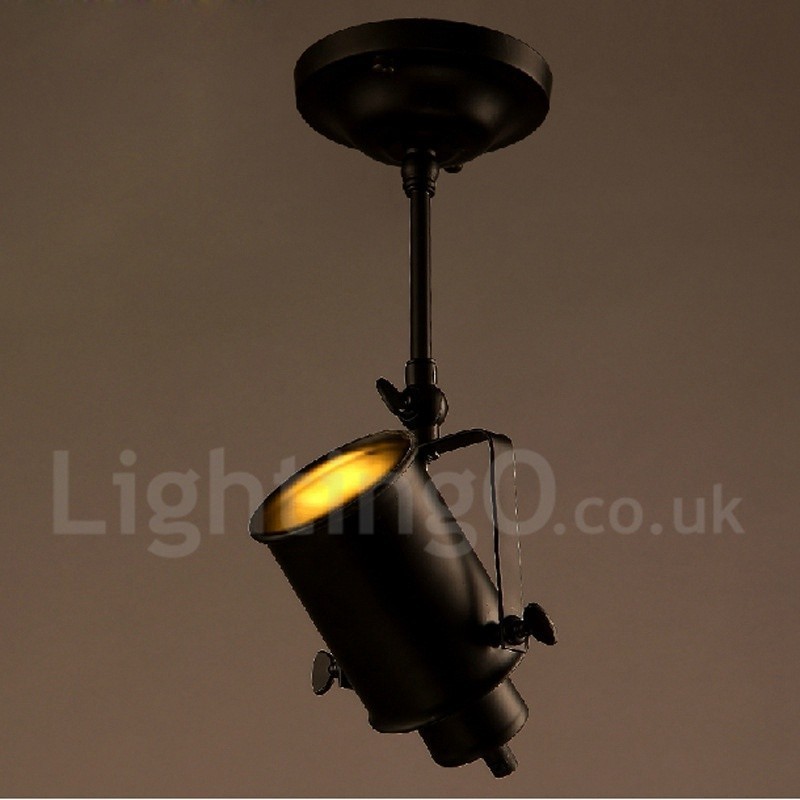 Rustic Lodge 1 Light Spot Lights