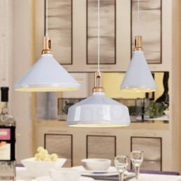 Modern Contemporary 1 Light Pendant Light