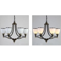6 Light Rustic Lodge Integrated Metal Chandelier