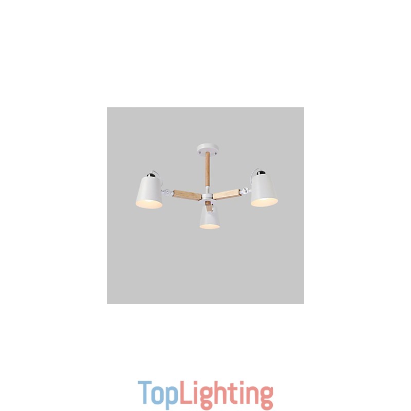 Vintage Painting Feature for Metal Chandelier