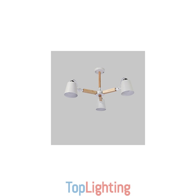 Vintage Painting Feature for Metal Chandelier