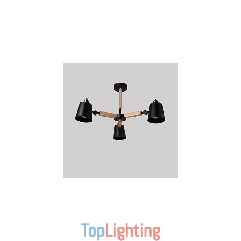Vintage Painting Feature for Metal Chandelier