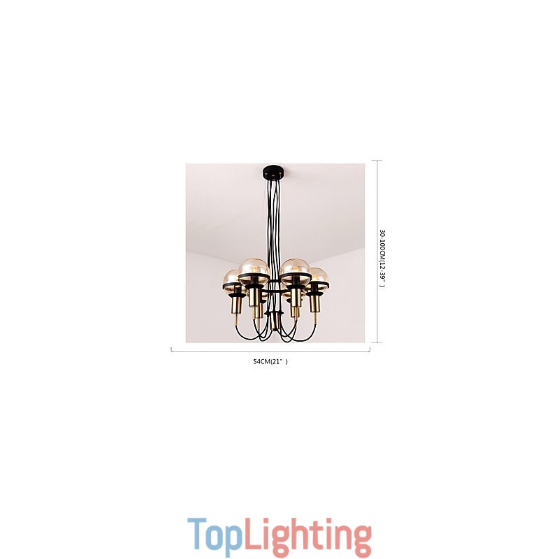 6 Light Personalized Chandelier with Glass Shade