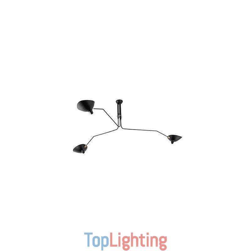 Modern Contemporary Painting Feature for Designers Metal Chandelier