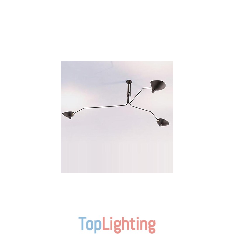 Modern Contemporary Painting Feature for Designers Metal Chandelier