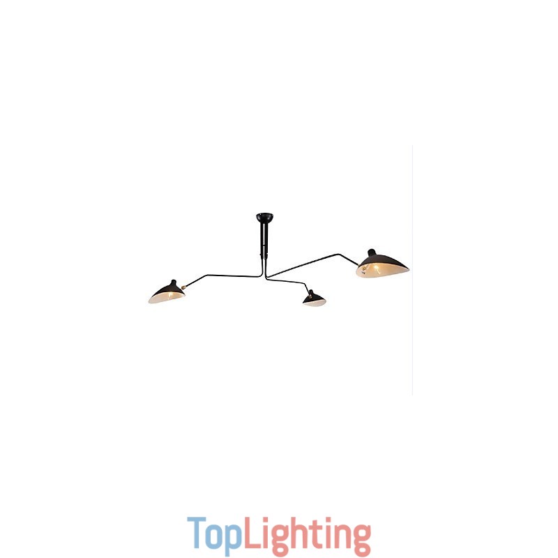 Modern Contemporary Painting Feature for Designers Metal Chandelier