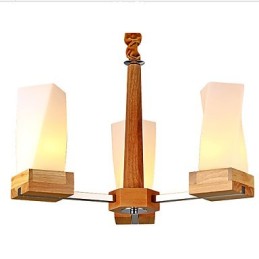 Simple Art lighting Solid wood Creative Iiving Ceiling lamp