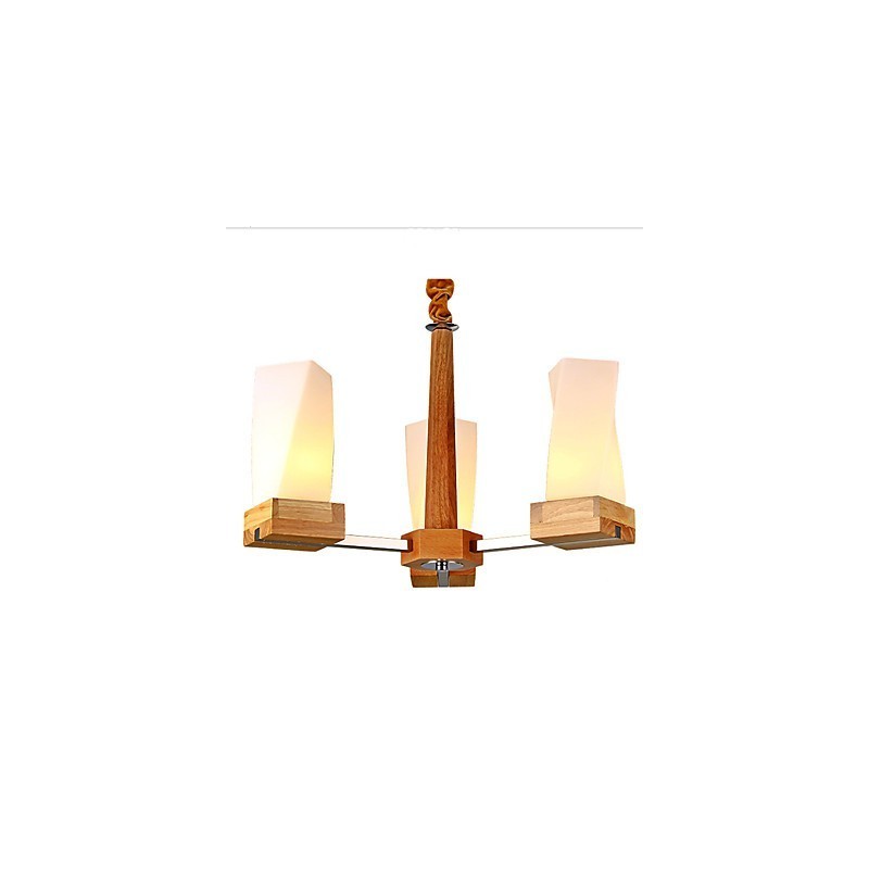 Simple Art lighting Solid wood Creative Iiving Ceiling lamp