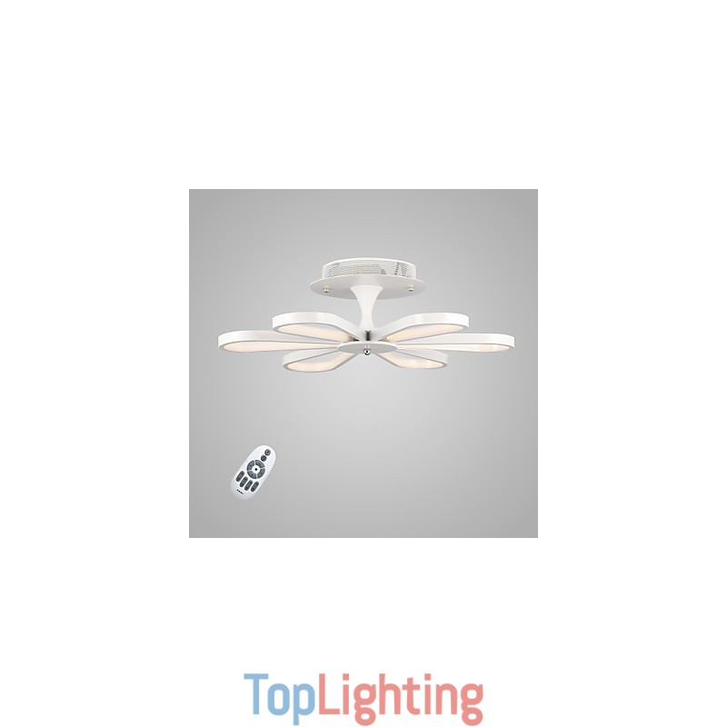 Flush Mount Ceiling Light Modern Contemporary Mini Style