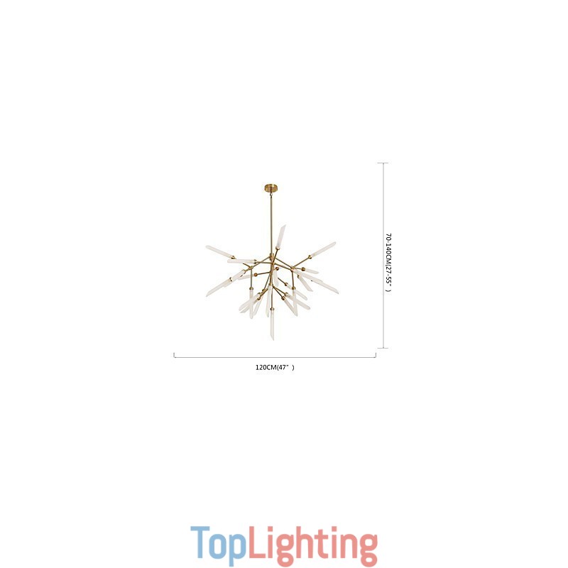 Study Chandelier