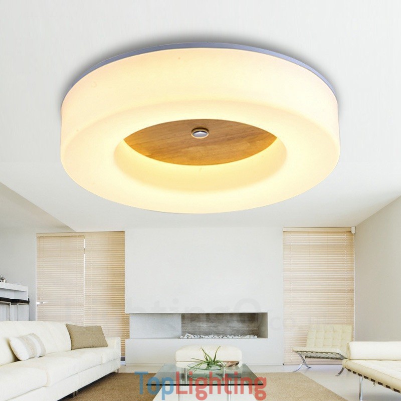 Modern Contemporary Nordic style Flush Mount Ceiling Lights with Acrylic Shade