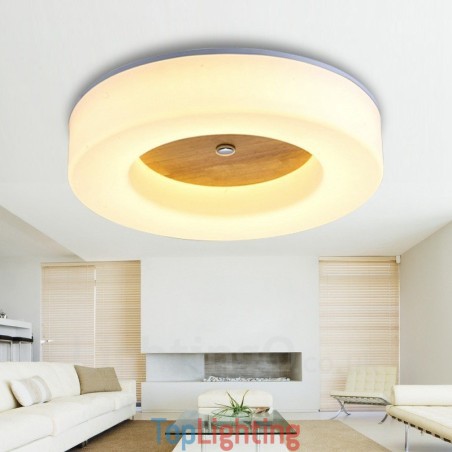 Modern Contemporary Nordic style Flush Mount Ceiling Lights with Acrylic Shade Modern Contemporary Nordic style Flush Mount Ceiling Lights with Acrylic Shade