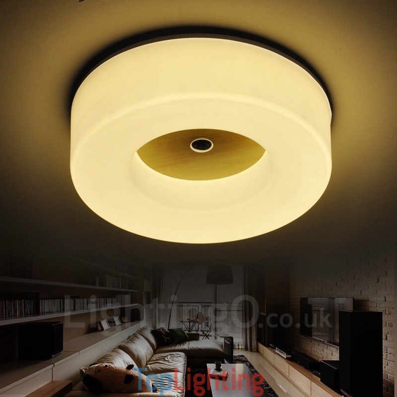 Modern Contemporary Nordic style Flush Mount Ceiling Lights with Acrylic Shade