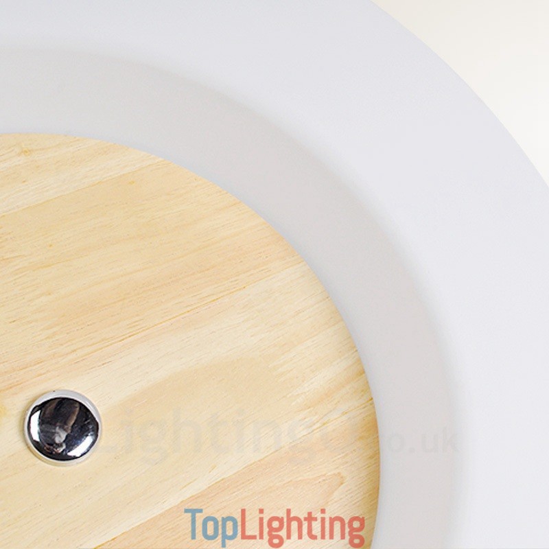 Modern Contemporary Nordic style Flush Mount Ceiling Lights with Acrylic Shade