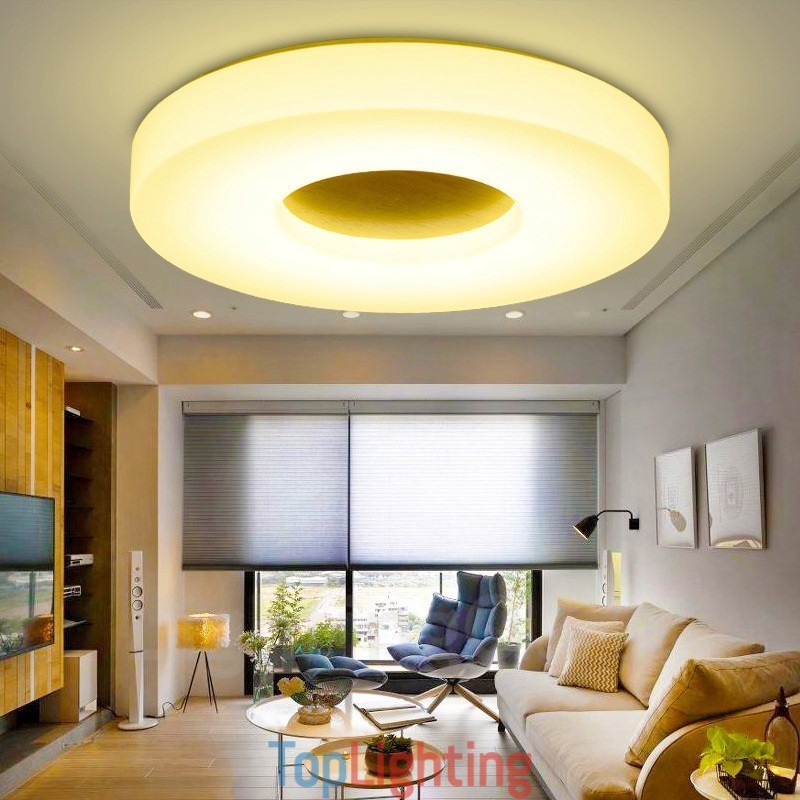 Modern Contemporary Flush Mount Ceiling Lights with Acrylic Shade