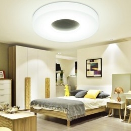 Modern Contemporary Flush Mount Ceiling Lights with Acrylic Shade