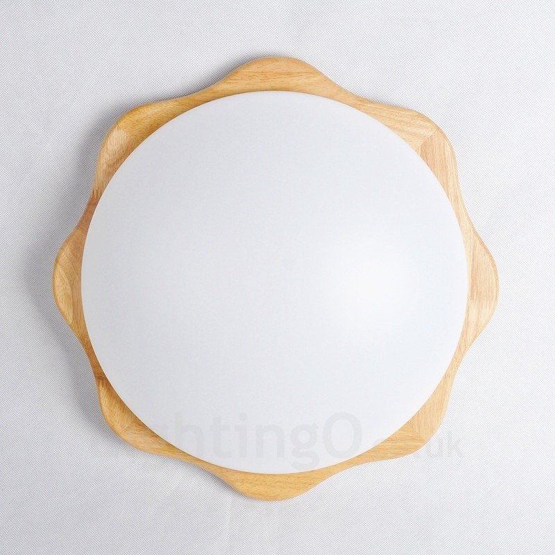 Modern Contemporary Flush Mount Ceiling Lights with Acrylic Shade