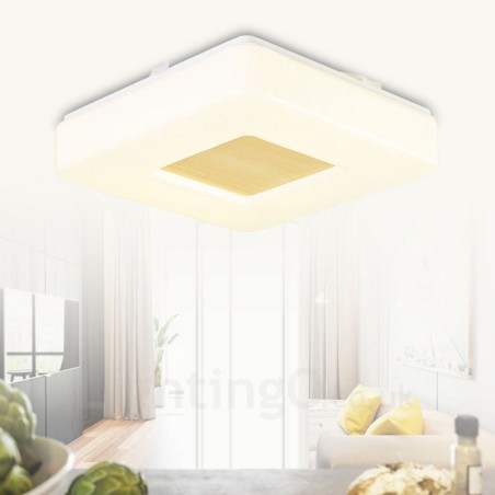 Modern Contemporary Flush Mount Ceiling Lights with Acrylic Shade Modern Contemporary Flush Mount Ceiling Lights with Acrylic Shade
