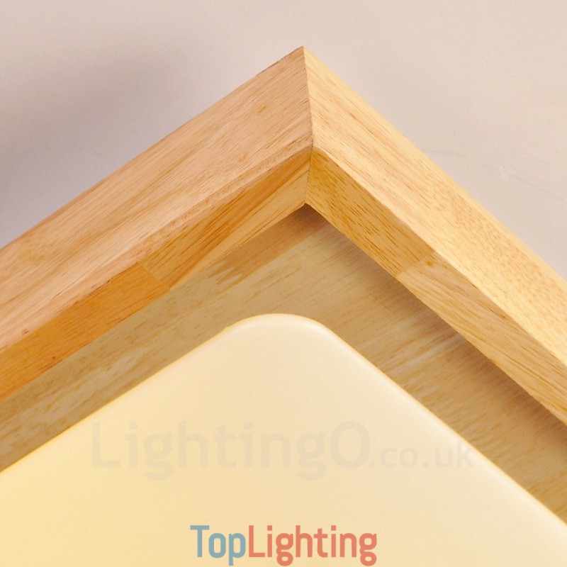 Modern Contemporary Flush Mount Ceiling Lights with Acrylic Shade