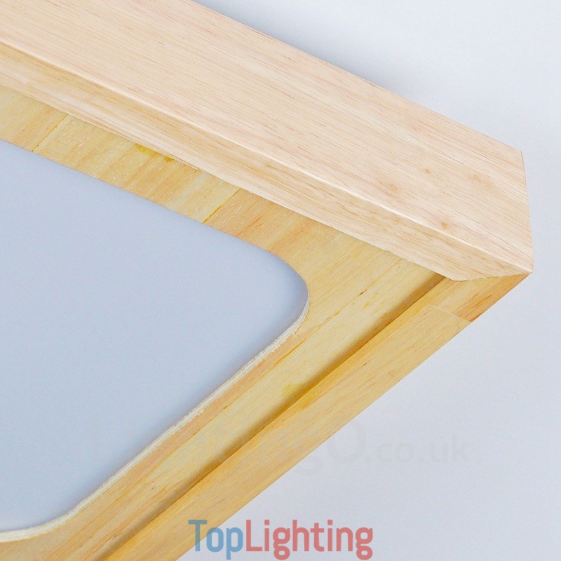 Modern Contemporary Flush Mount Ceiling Lights with Acrylic Shade