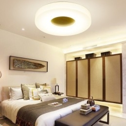 Dimmable Ultra thin Round Wood Ceiling Light with Acrylic Shade Ceiling Lamp Nordic Style