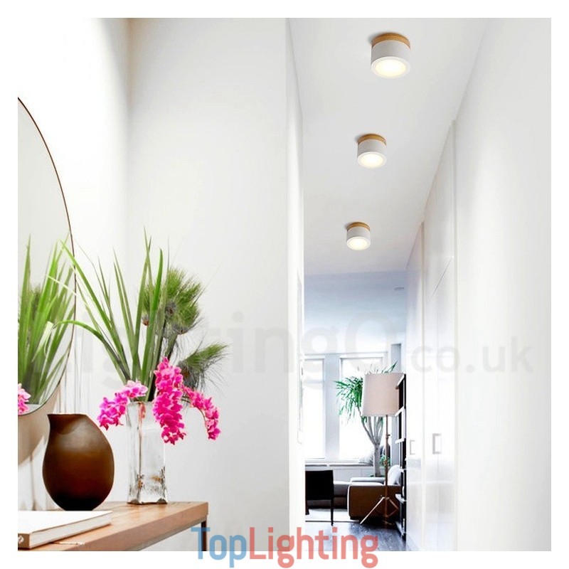 Wood Modern Design Mini Ceiling Light with Acrylic Shade Special for Also Can be Used as Wall Light
