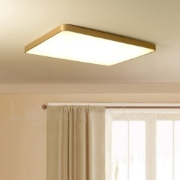 Ultra Thin Rectangle Dimmable Modern Contemporary Nordic Style Flush Mount Brass Ceiling Lights with Acrylic Shade Also Can Be Used As Wall Light