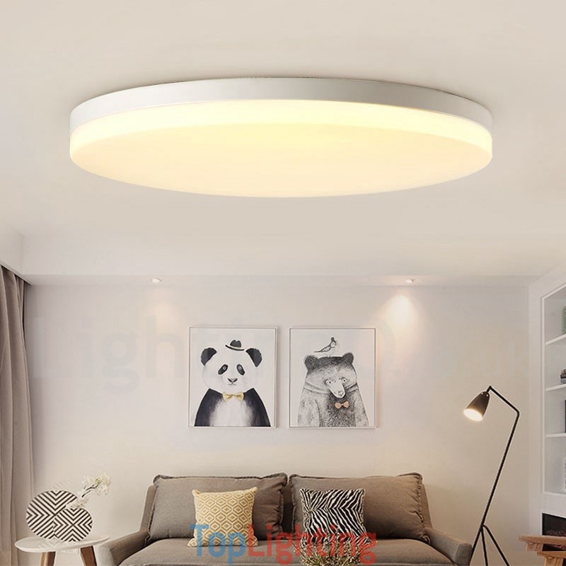 Ultra Thin Round Dimmable Modern Contemporary Nordic Style Flush Mount Ceiling Lights with Acrylic Shade Also Can Be Used As Wall Light
